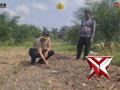 Pemantauan Penanaman Jagung Pipil di Lahan Desa Sialang Indah - PoliceTube