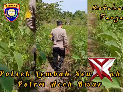 Ketahanan Pangan
