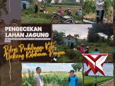 Polres Probolinggo Kota melaksanakan kegiatan pengecekan lahan jagung guna mendukung program ketahan