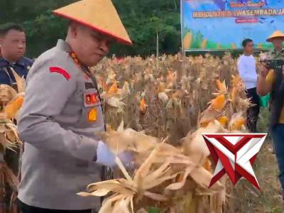 Penanaman jagung serentak - PoliceTube
