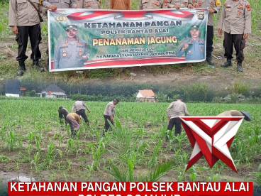 Ketahanan Pangan Polsek Rantau Alai Polres Ogan Ilir Polda Sumsel