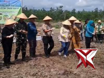 Menghadiri gerakan tanam padi di lahan cetak sawah rakyat