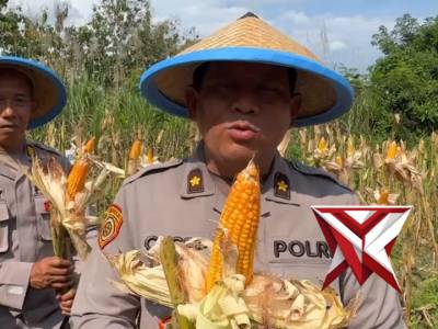 Polres Magetan melaksanakan kegiatan Panen Raya Jagung Serentak Kuartal II Tahun 2026