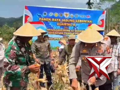 PANEN RAYA JAGUNG SERENTAK KUARTAL II POLRES LEBONG
