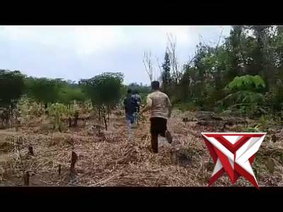 Giat Polsek Penukal