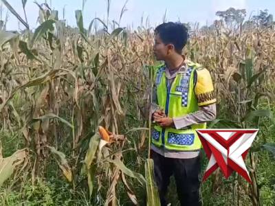 Patroli polsek kikim selatan