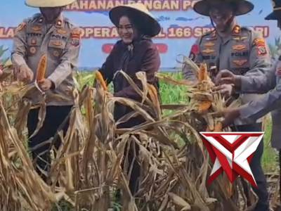 Panen Raya Jagung Serentak Quartal II, Polri Launching 166 SPPG dan Groundbreaking 10 Gudang Pangan