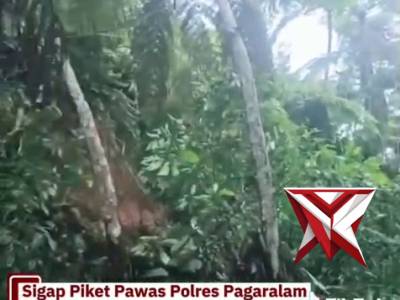 Sigap piket pawas polres Pagaralam mendatangi  TKP tanah longsor