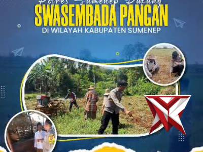 Polsek Manding
