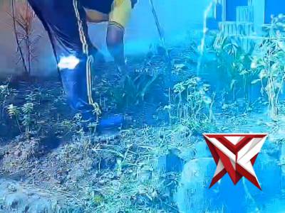 GIAT KORVE DAN PENGHIJAUAN