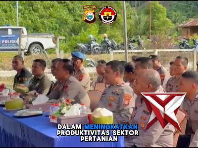 PANEN RAYA JAGUNG SERENTAK KUARTAL II  Polres Halmahera Tengah
