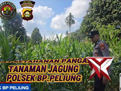 GIAT KETAHANAN PANGAN TANAMAN JAGUNG POLSEK BP PELIUNG - PoliceTube