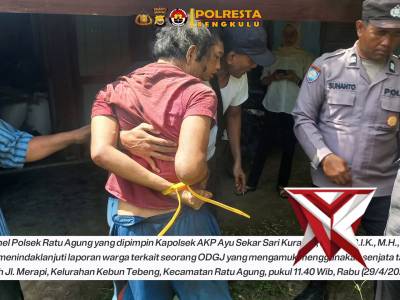 *Respon Cepat Polsek Ratu Agung Amankan ODGJ, yang Mengamuk Bersajam di Kebun Tebeng*