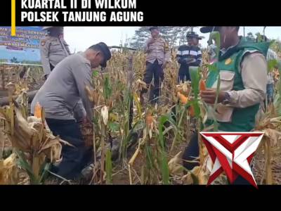 CE 1. ? Panen Raya Jagung Serentak Kuartal II ?