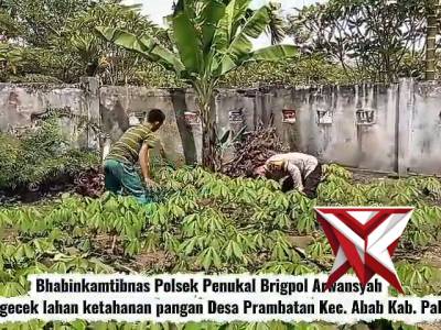 Bhabinkamtibmas Polsek Penukal Cek Lahan Ketahanan Pangan di Desa Prambatan Bersama Warga