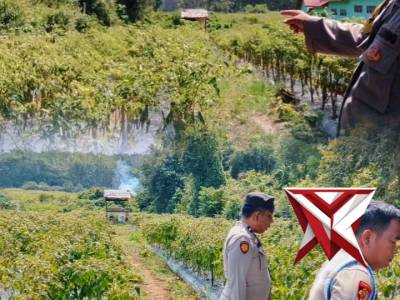Ketahanan pangan Polsek Pampangan - PoliceTube