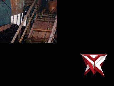 Polsek Jejawi giat sambang cek ketahanan pangan ternak sapi milik warga Kec.Jejawi Kab.OKI