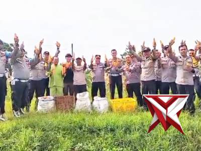 ? Panen Jagung Bersama, Wujud Kedekatan Polri dengan Masyarakat ?