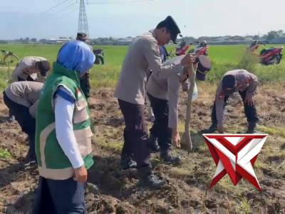 Giat penanaman jagung dalam rangka ketahanan pangan - PoliceTube