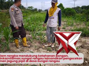 ketahanan pangan polsek rantau kopar