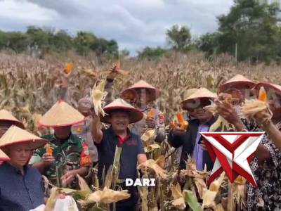 PANEN RAYA JAGUNG KUARTAL II TAHUN 2026