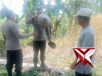 Dialogis dengan petani jagung