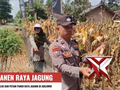 Polisi dan petani Panen Raya Jagung - PoliceTube