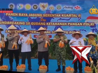 Panen Raya Jagung Serentak Kuartal II