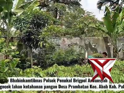 Bhabinkamtibmas Polsek Penukal Cek Lahan Ketahanan Pangan di Desa Prambatan Bersama Warga - PoliceTube