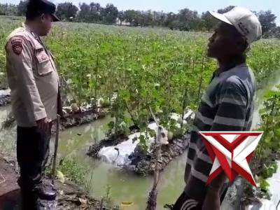Giat patroli P2B Polsek Kalitengah Polres Lamongan - PoliceTube