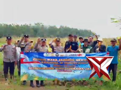 Panen Raya Jagung di Adi Jaya, Polsek Negara Batin Dukung Ketahanan Pangan Nasional