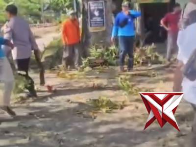 Polsek Paron melaksanakan pengamanan kegiatan pemangkasan & pemotongan pohon