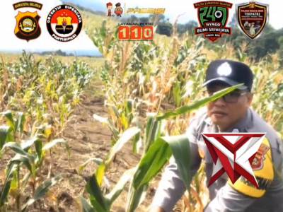 Giat Bhabinkamtibmas Polsek Semendo  melaksanakan pengecekan lahan ketahanan pangan di Desa Pagar Ag