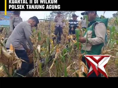 BJ 6. ? Panen Raya Jagung Serentak Kuartal II ?