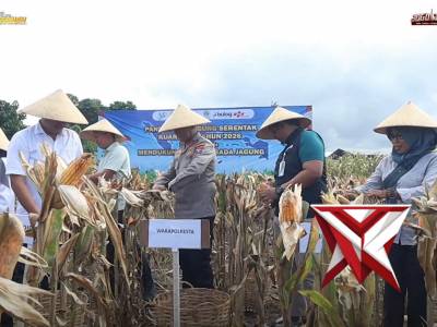 Wujud Nyata Ketahanan Nasional,Polresta Banyuwangi Kawal Panen Raya Jagung Serentak Bersama Presiden