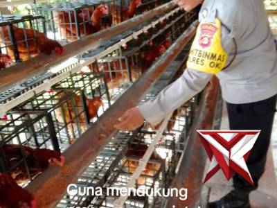 Ketahanan pangan Polsek Pampangan