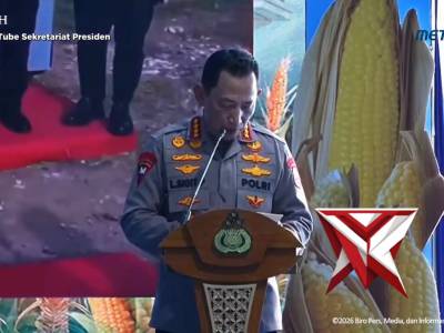 Panen Raya Jagung