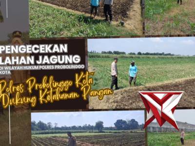 Polres Probolinggo Kota melaksanakan kegiatan pengecekan lahan jagung guna mendukung program - PoliceTube