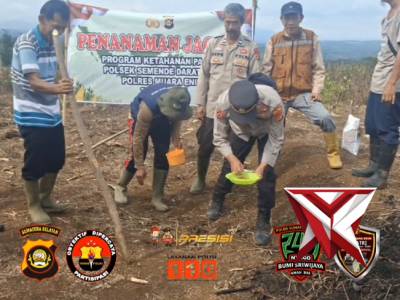 Giat Polsek Semendo penanaman jagung di wilayah hukum Polsek Semendo.