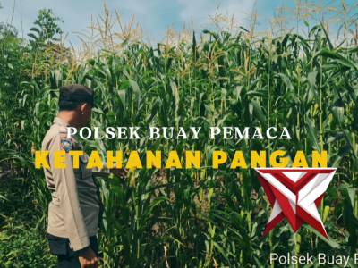 Ketahanan Pangan