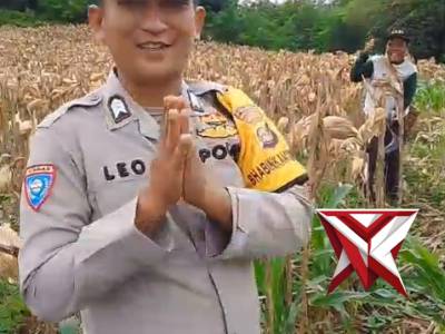 POLSEK MUARADUA RES OKU SELATAN