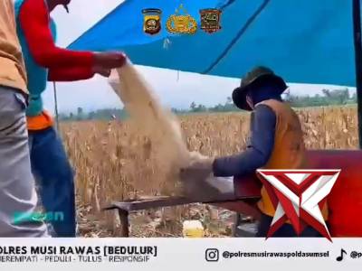 polresmusirawaspoldasumsel PANEN RAYA JAGUNG SERENTAK: Polres Musi Rawas Dukung Swasembada Pangan - PoliceTube