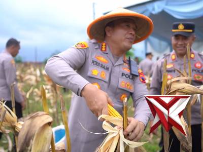 PANEN RAYA JAGUNG SERENTAK KUARTAL 1 2026