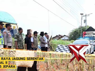 ?Sinergi Ketahanan Pangan, Polres Jepara Ikuti Panen Raya Jagung Serentak Nasional Bersama Presiden