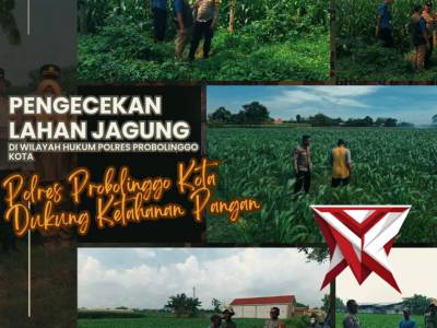 Polres Probolinggo Kota Pengecekan lahan jagung