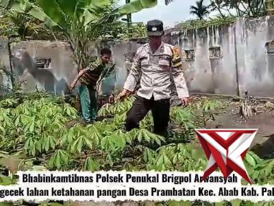 Bhabinkamtibmas Polsek Penukal Cek Lahan Ketahanan Pangan di Desa Prambatan Bersama Warga