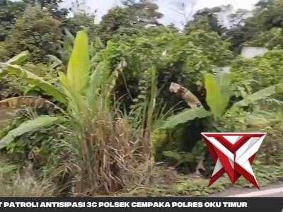 GIAT PATROLI ANTISIPASI 3C POLSEK CEMPAKA