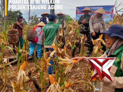 BDH 1. ? Panen Raya Jagung Serentak Kuartal II ?
