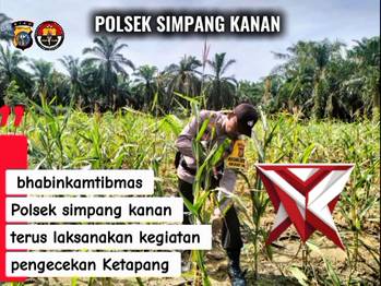 ketahanan pangan polsek simpang kanan