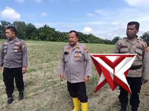 ketahanan pangan polsek tanah putih